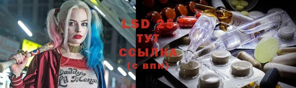 прущие грибы Верхний Тагил