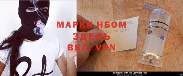 прущие грибы Верхний Тагил