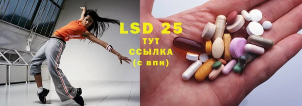 прущие грибы Верхний Тагил