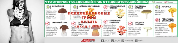 прущие грибы Верхний Тагил