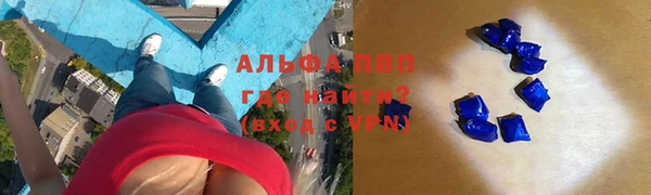 прущие грибы Верхний Тагил