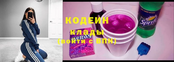 прущие грибы Бородино
