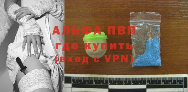 прущие грибы Верхний Тагил