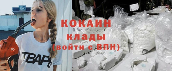 прущие грибы Верхний Тагил