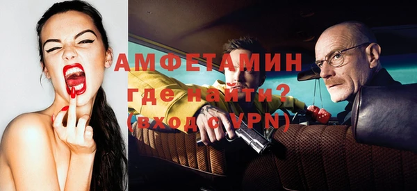 прущие грибы Верхний Тагил