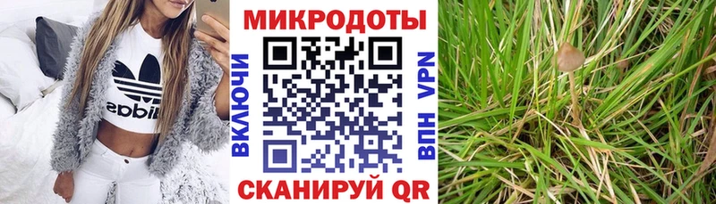 Псилоцибиновые грибы GOLDEN TEACHER  Вятские Поляны 